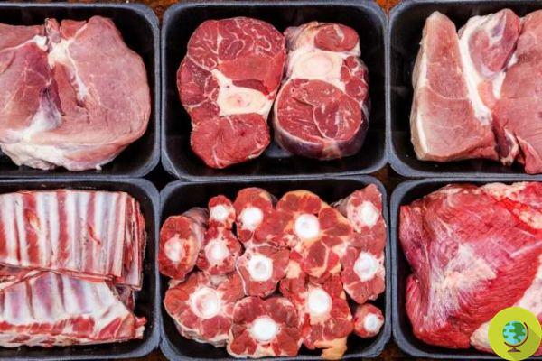 Tax on meat: necessary to help the environment and health, according to scientists