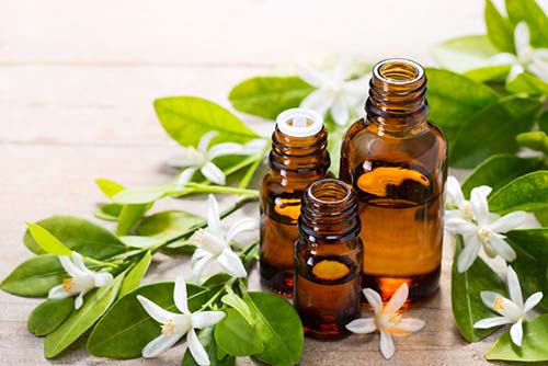 Aromaterapia: os 10 óleos essenciais mais afrodisíacos