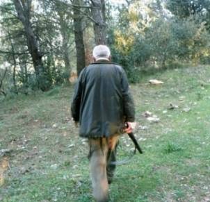 Caza: la caza furtiva está legalizada en las islas Tremiti