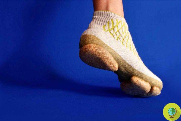 Sneature, zapatillas biodegradables hechas con micelio de hongos y pelo (perdido naturalmente) de perros