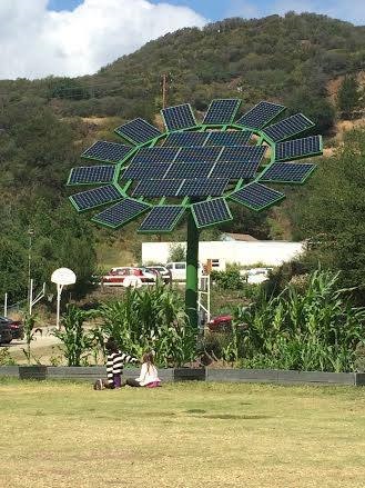 Muse School: the vegan school powered by James Cameron's 5 photovoltaic sunflowers