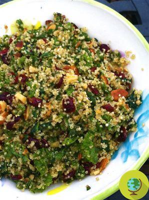 Quinoa: 10 winter recipes