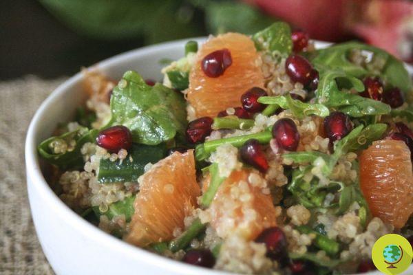 Quinoa : 10 recettes d'hiver