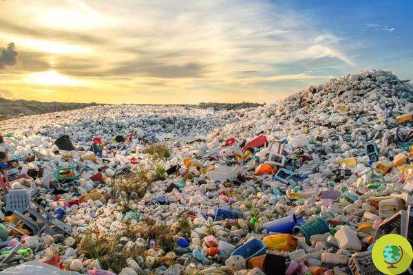 Do you know which countries produce the most plastic waste?