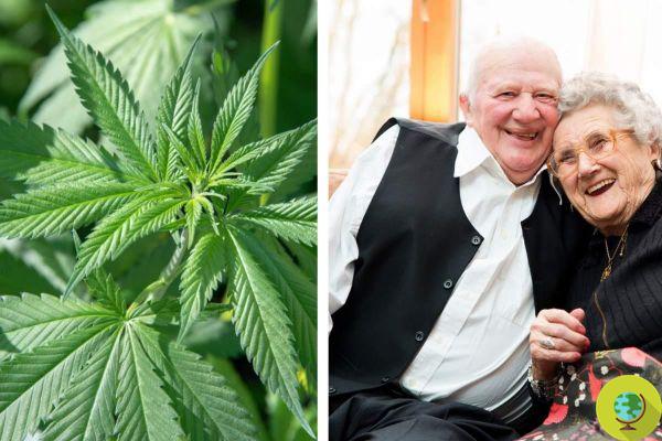 In this nursing home, patients relax and heal themselves using marijuana