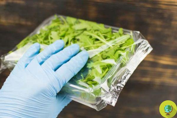 Salada em um saco, cuidado! Risco de bactérias resistentes a antibióticos