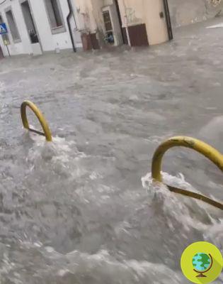 Alerte météo en Sardaigne, un homme porté disparu emporté par le fleuve d'eau