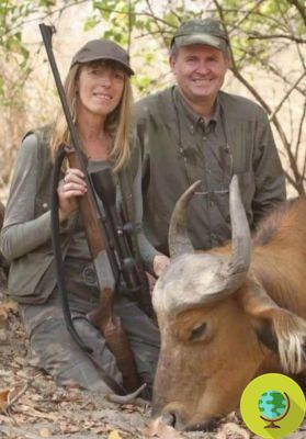 Despedido después de publicar sus fotos de la caza de animales salvajes en África