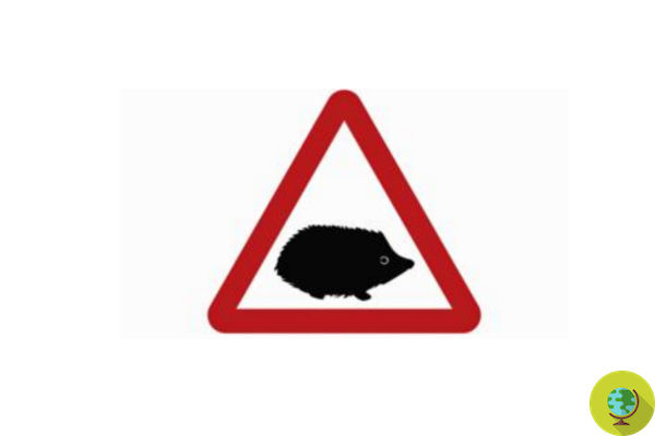 Les hérissons apparaissent dans de nouveaux panneaux d'avertissement pour les petits animaux sauvages