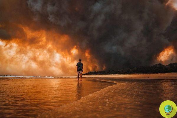 Austrália está queimando, uma parede de fogo está prestes a atingir Sydney: habitantes prontos para evacuar
