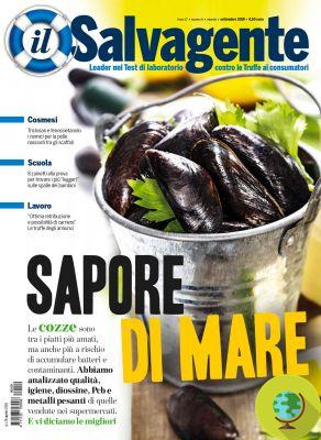 Ilva di Taranto: dioxin-contaminated milk and mussels. It's a health warning