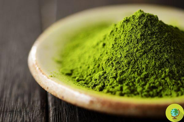 Do you suffer from anxiety? Try drinking a cup of matcha tea