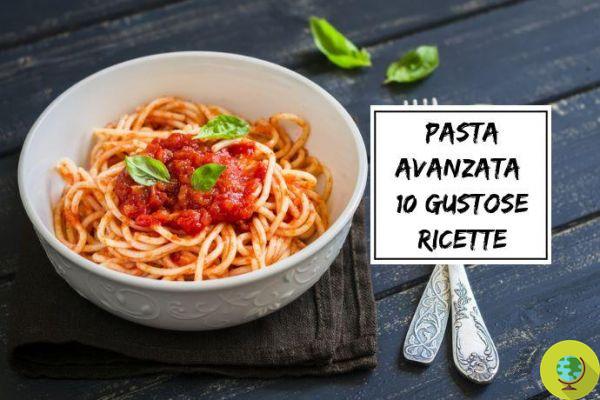 Advanced pasta: 10 tasty recipes
