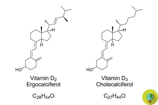 Vitamina D: Você sabe a diferença entre D2 e ​​D3? Apenas um melhora o sistema imunológico