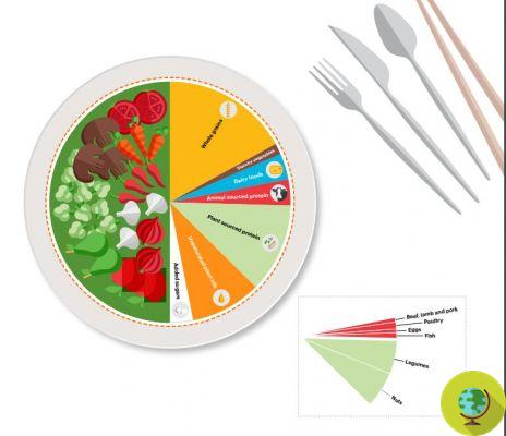 Universal diet: the menu to save health and the planet has been published in The Lancet