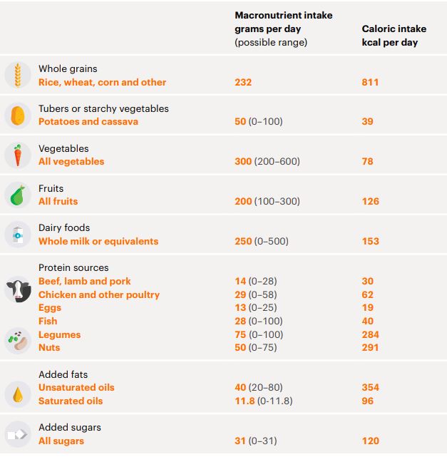 Dieta universal: el menú para salvar la salud y el planeta ha sido publicado en The Lancet