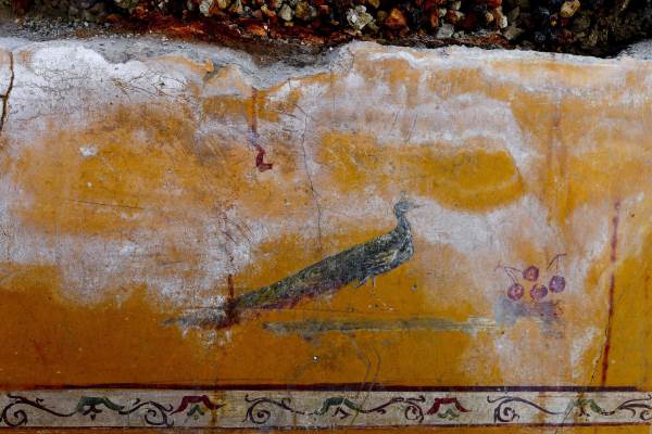  In Pompeii the evocative enchanted garden re-emerges from the excavations