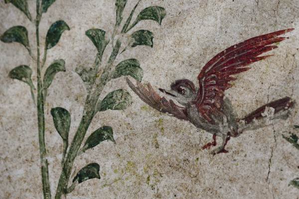  In Pompeii the evocative enchanted garden re-emerges from the excavations