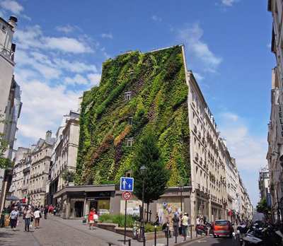 Jardins verticaux : le dernier chef-d'œuvre de Patrick Blanc à Paris