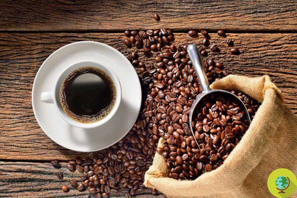 Do you really know how to make great coffee? We explain it to you with the 3 M rule