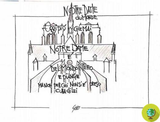Incendie de Notre-Dame : l'émouvant hommage d'illustrateurs du monde entier