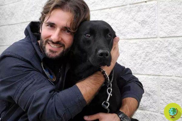 Adeus Gino, o primeiro cão policial em Bari que dedicou sua vida aos outros