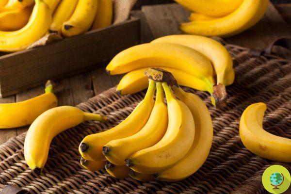 Don't throw away the banana peels, you can turn them into vegetable 