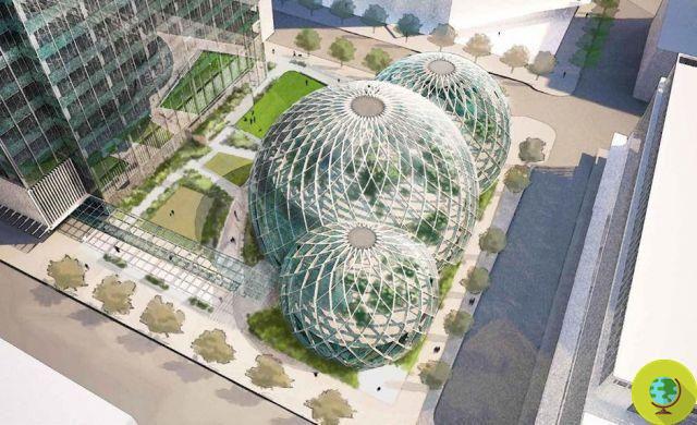 Amazon: três biosferas de vidro com impacto zero para escritórios da nova sede em Seattle