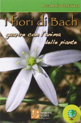 Fleurs de Bach pour l'entretien des plantes