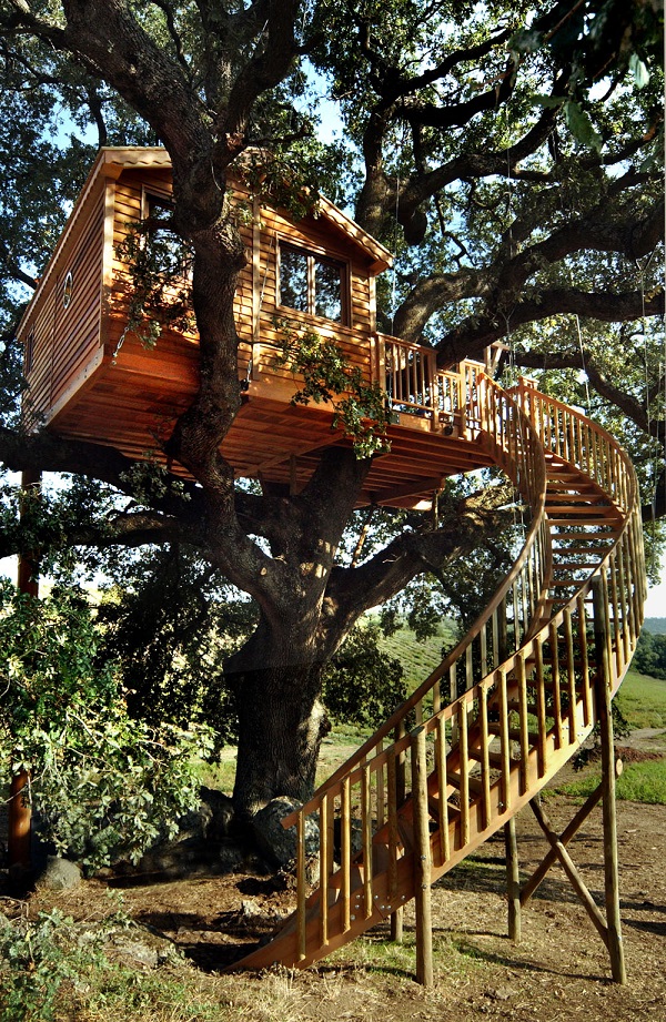 Casas en los árboles: el b&b para dormir en una casa del árbol rodeada de lavanda (FOTO)