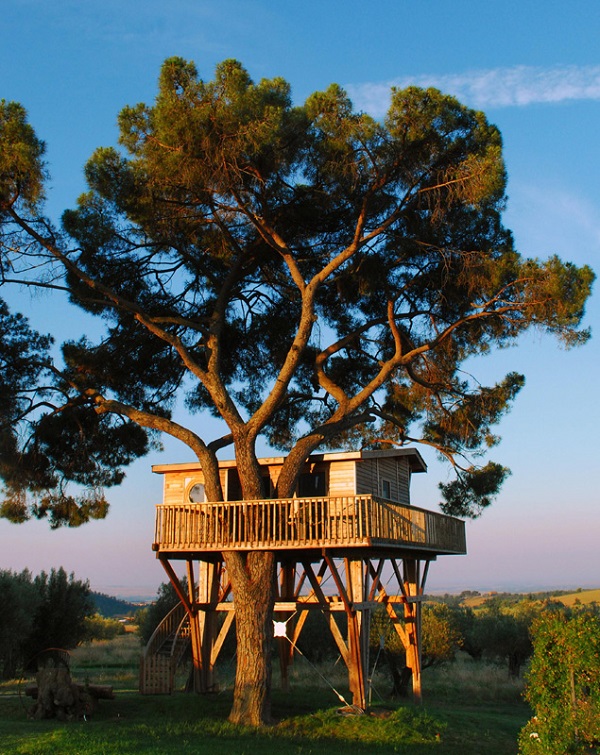 Tree houses: the b & b to sleep in a treehouse surrounded by lavender (PHOTO)