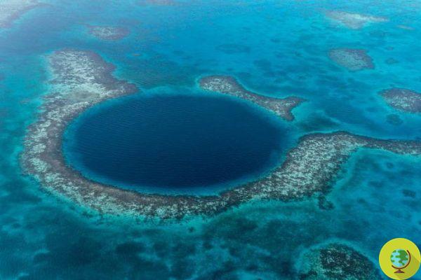 Unesco remove recife de coral de Belize de sua lista de patrimônios ameaçados