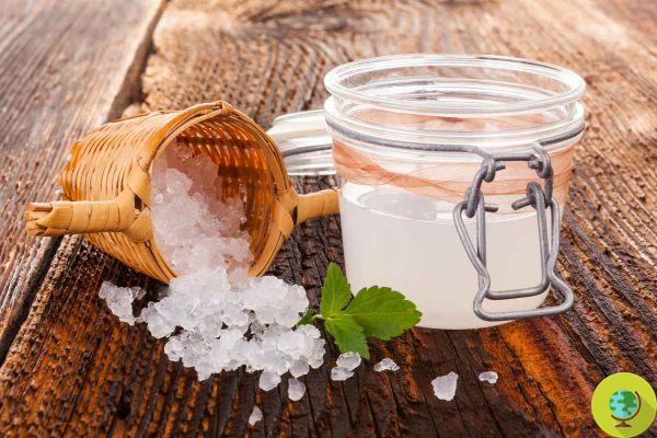 We have prepared water kefir: all the answers to your most frequent doubts