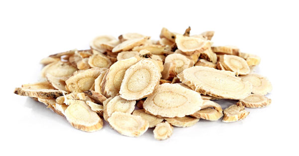 Astragalus: properties, a thousand uses and contraindications