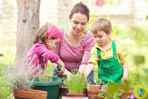 A jardinagem é boa para as crianças e as ensina a desenvolver paciência, responsabilidade e bondade