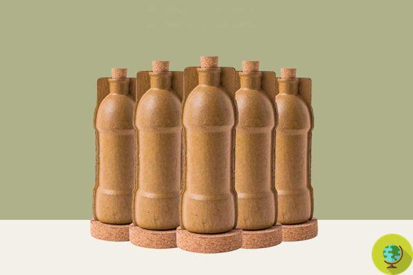 Goodbye PET: paper bottles that replace plastic arrive from India