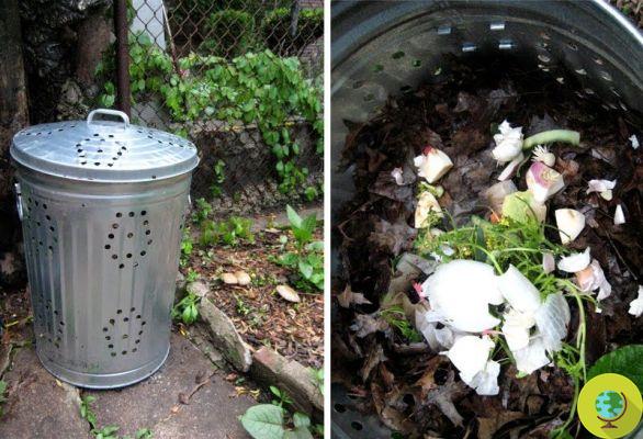 Residuos orgánicos: 15 cosas que nunca pensaste que podrías compostar