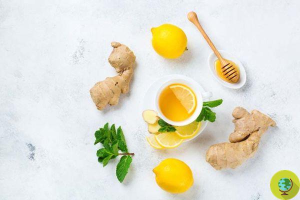 Chá de ervas de gengibre e limão: benefícios, quando beber e como prepará-lo