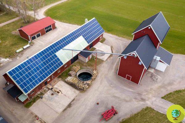 Photovoltaïque sur les toits agricoles, des incitations sont en route qui peuvent épargner aux entreprises des factures onéreuses