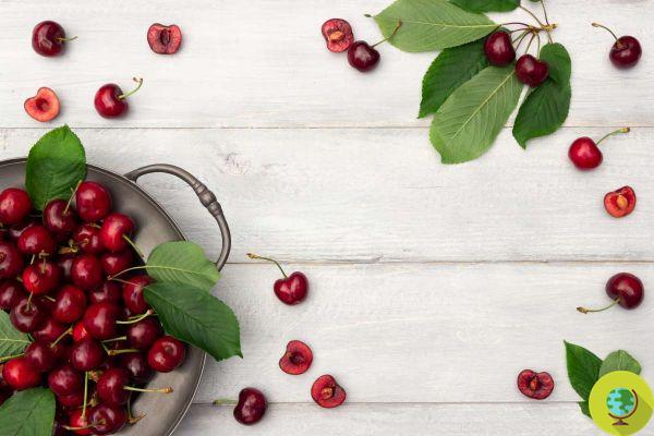 Cherries: the tricks of grandmothers (and greengrocers) to choose the best ones