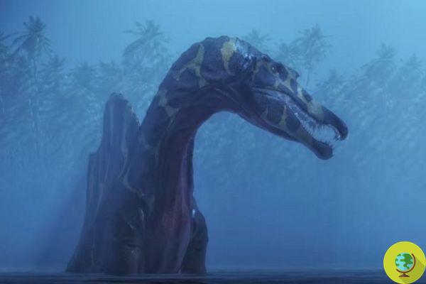Espinossauro: a descoberta do dinossauro aquático reescreve o que sabemos sobre a evolução