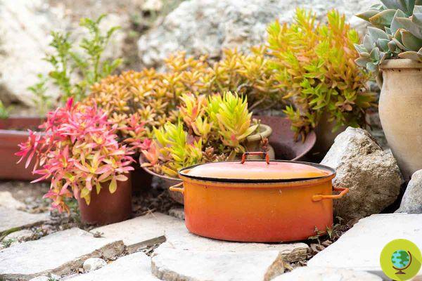 Creative recycling of pots and pans: find out how to reuse them to make plant pots, decorations, wall clocks