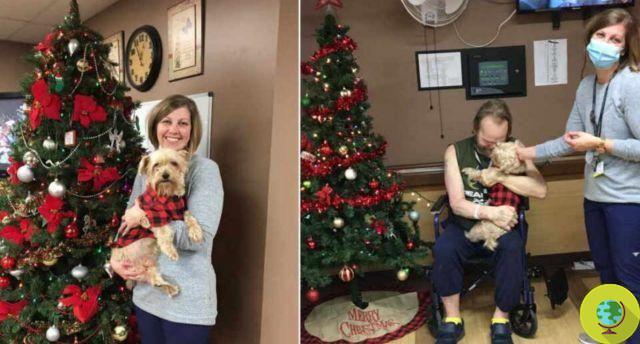 Enfermeira adota cachorro idoso de seu paciente que ele foi forçado a deixar em um abrigo