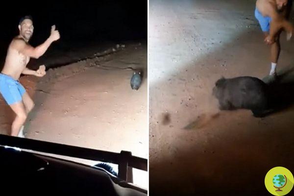 Identificou o policial que apedrejou um wombat se gabando disso nas redes sociais
