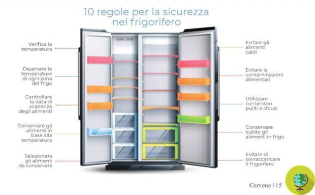 Verão: as 10 regras para guardar alimentos na geladeira