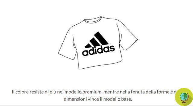 The low-cost t-shirts of Adidas, Zara and other big brands resist like the more expensive ones, the Altroconsumo test