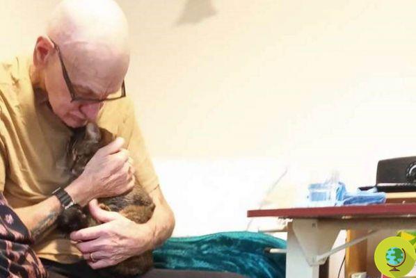 The sweet hug between a cat and its former owner in a nursing home