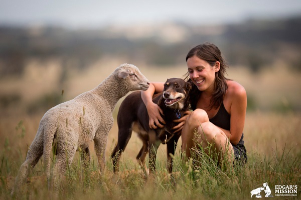 Ruby, a cadela enfermeira que assiste os animais resgatados do matadouro
