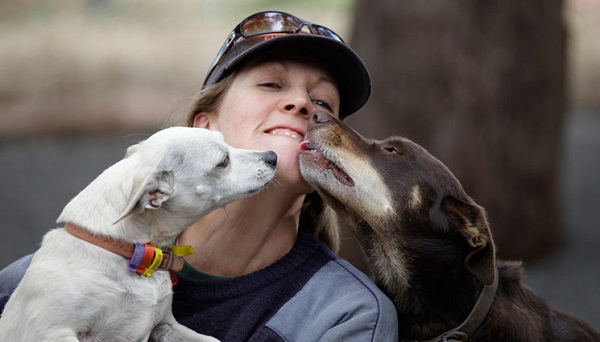Ruby, the nurse-dog who assists the animals rescued from the slaughterhouse