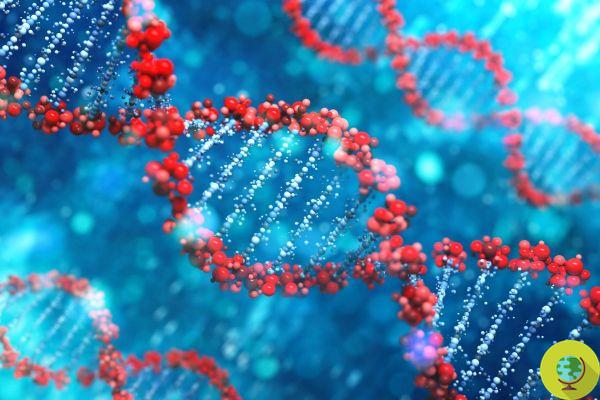 Las mutaciones del ADN no ocurren por casualidad: el descubrimiento que podría transformar nuestra visión de la evolución